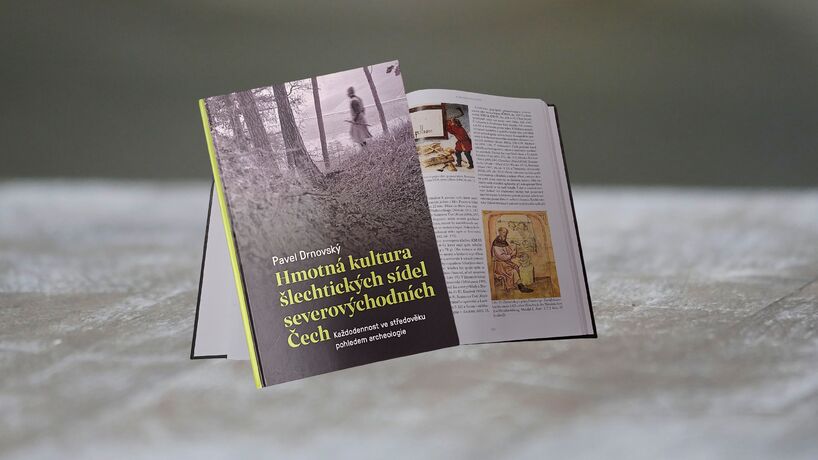 Hmotná kultura šlechtických sídel