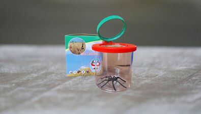 Kelímek s dvojitou lupou